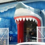 Escola de Natação Tubarão – Infantil e Adulto