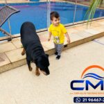 Cerca de Proteção Removível para Pet – RJ | CMG Cercas
